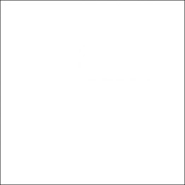 Gạch lát sàn Trường Thịnh BLACK & WHITE FASHION SLA610